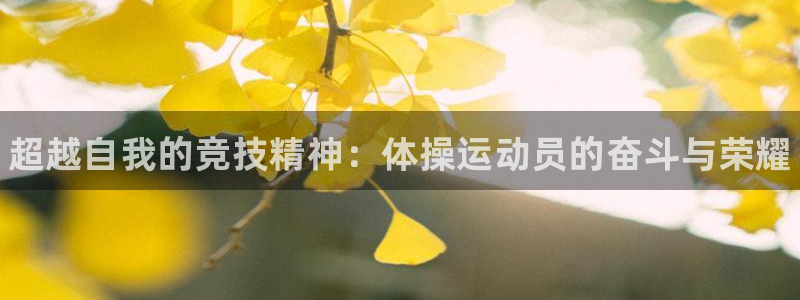 JJB竞技宝官网下载平台假的吗是真的吗吗：超越自我的