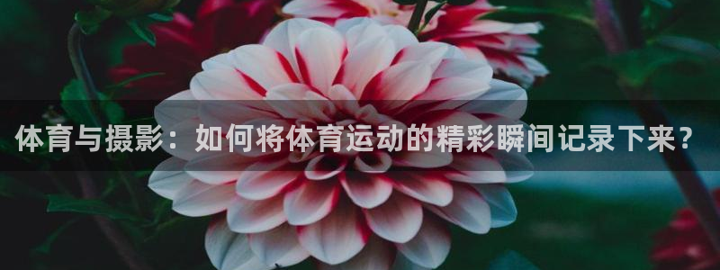JJB竞技宝官网下载平台注册流程视频：体育与摄影：如
