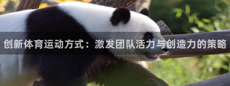 JJB竞技宝官方正版app官方：创新体育运动方式：激