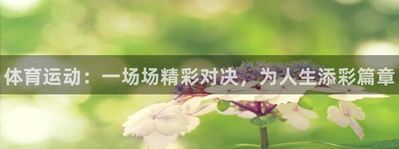 JJB竞技宝官网下载平台
