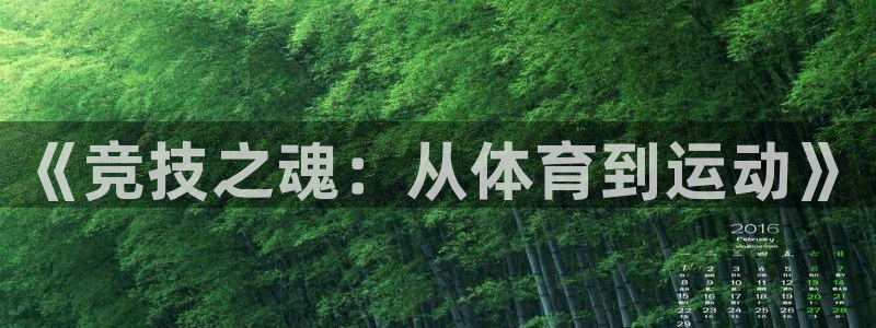 JJB竞技宝官方正版app开户：《竞技之魂：从体育到运动》