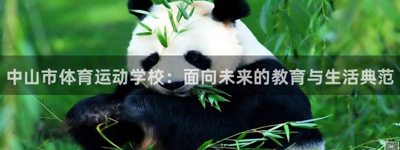 JJB竞技宝官网下载