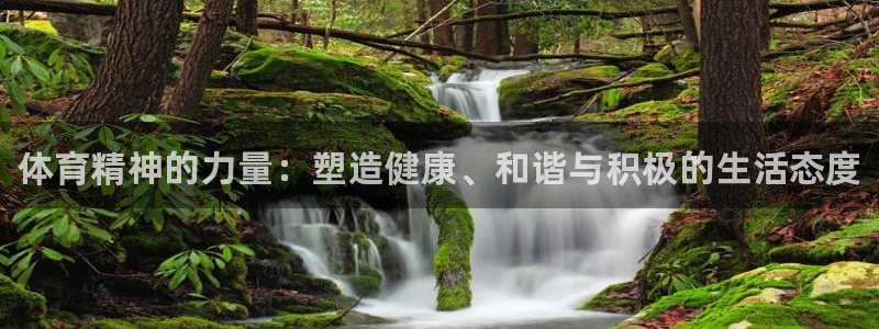JJB竞技宝官网下载招商电话是多少