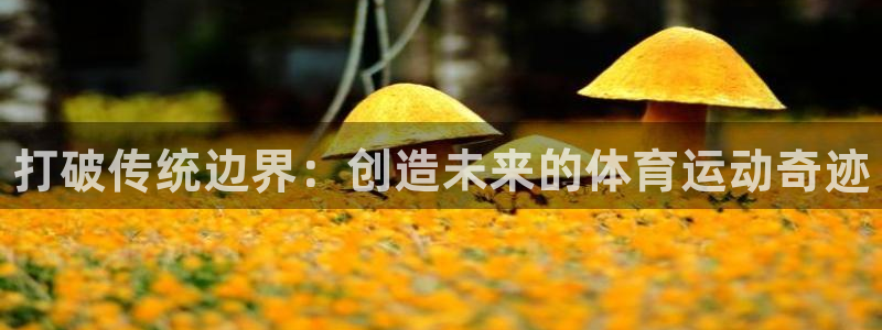 JJB竞技宝官方正版app集团logo：打破传统边界：创造未