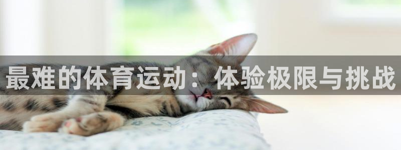 JJB竞技宝官网下载招商电话