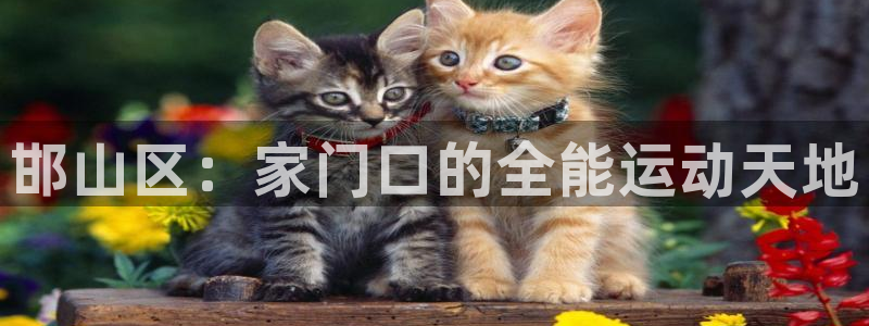 JJB竞技宝官方正版app集团简介：邯山区：家门口的