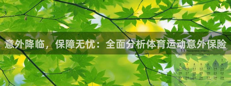 JJB竞技宝官方正版app代理：意外降临，保障无忧：