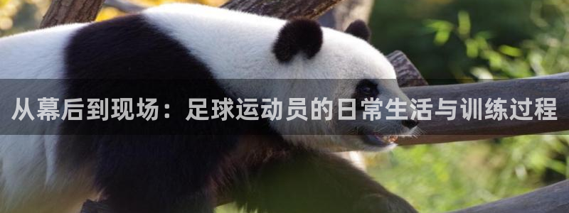 JJB竞技宝官网下载招商电话号码是多少：从幕后到现场：足球运