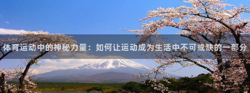 JJB竞技宝官方正版app娱乐首页官网下载：体育运动