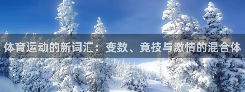 JJB竞技宝官网下载是干嘛的公司