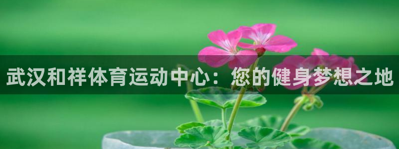 JJB竞技宝官方正版app集团简介：武汉和祥体育运动中心：您