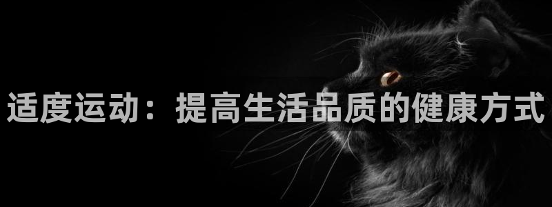 JJB竞技宝官方正版app集团E.ON：适度运动：提