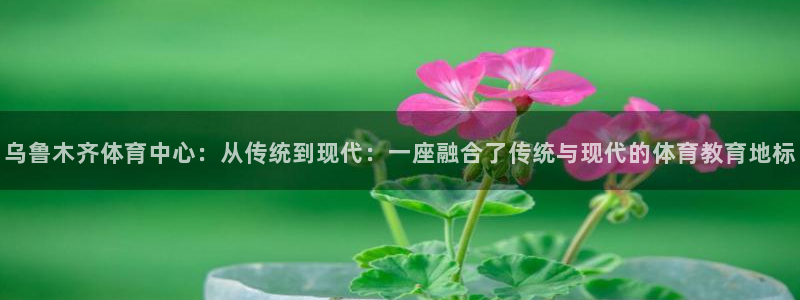 JJB竞技宝官方正版app娱乐平台：乌鲁木齐体育中心