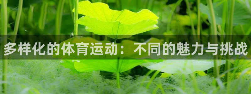 JJB竞技宝官网下载招商电话是多少啊：多样化的体育运