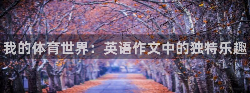 JJB竞技宝官网下载平台注册要钱吗安全吗：我的体育世界：英语