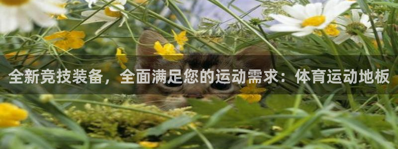 JJB竞技宝官方正版app科技：全新竞技装备，全面满足您的运