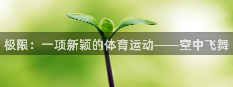 JJB竞技宝官网下载招商电话号码：极限：一项新颖的体