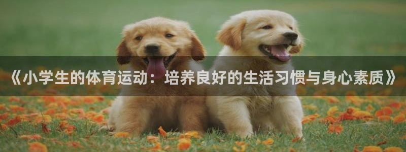 JJB竞技宝官方正版app娱乐40996：《小学生的体育运动