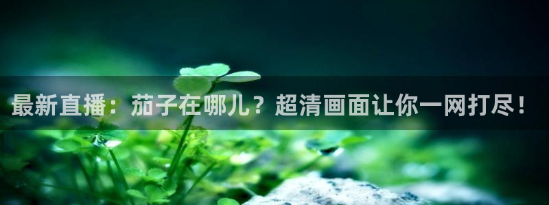 松鼠平台：最新直播：茄子在哪儿？超清画面让你一网打尽！