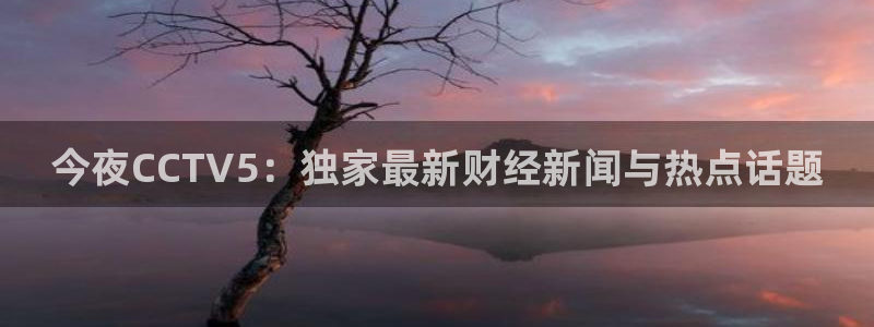 松鼠官方网站：今夜CCTV5：独家最新财经新闻与热点话题