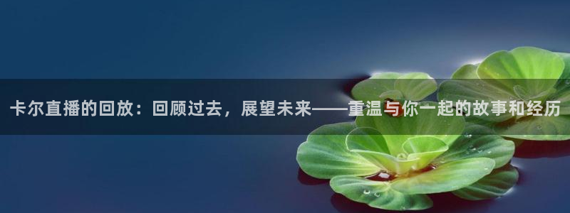 松鼠宝贝体育：卡尔直播的回放：回顾过去，展望未来——重温与你一起的故事和经历