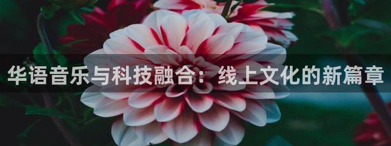 松鼠平台：华语音乐与科技融合：线上文化的新篇章